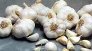 Defensa del ajo español. Fuente: www.asajacordoba.es