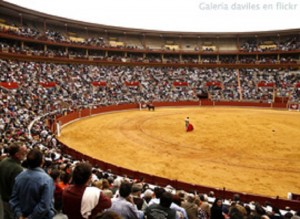 Plaza toros córdoba coso califas espectáculo taurino