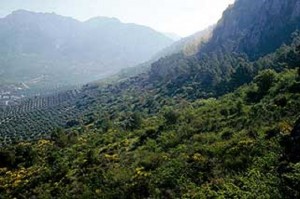 Subbética sierra paisaje 