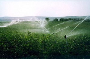 Generación de Empleo Medioambiental en Andalucía 2020.