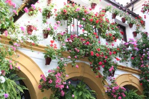 Patio de la calle San Basilio número 14