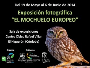 Tarjetón Expo Mochuelo 2014 El Higuerón