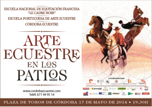 arte ecuestre espectaculo caballos 