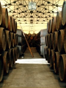 Bodegas, vino, montilla moriles