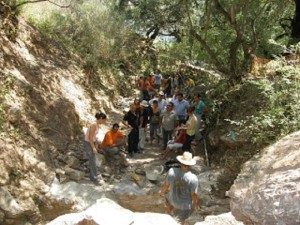 Abierto el plazo de solicitud para los campos de trabajo en Andalucía.
