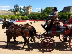 Exhibición de carruajes organizada por el Club de Carruajes de Tradición de Córdoba.