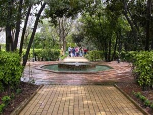 Jardín Botánico