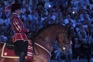 Cordoba ecuestre en Nimes4