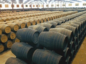Instalaciones de Navisa (Bodegas Cobos) en Montilla