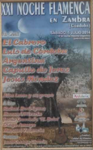 XXI Noche Flamenca en Zambra 