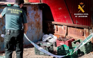 Imagen de uno de los agentes junto al cobre intervenido.