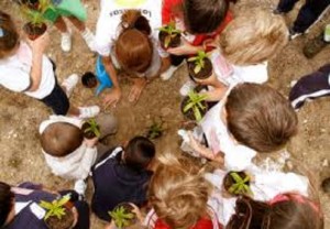 ecoescuelas