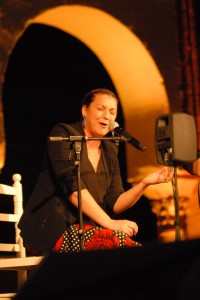 La Noche Blanca del Flamenco