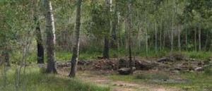 villanueva del duque