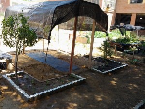 Huerto La Fuensanta.