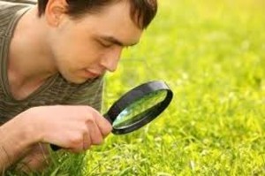 investigación agraria