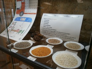 Imagen de la exposición.