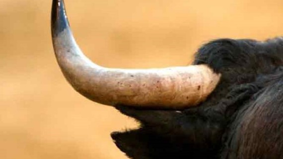 Hacen oficiales los carteles taurinos para Priego de Córdoba