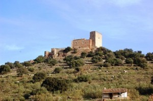 Castillo El Madroñiz