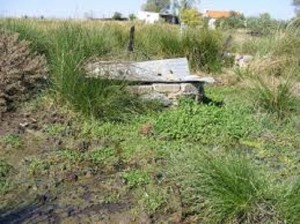 Pozo ubicado en Belalcázar.