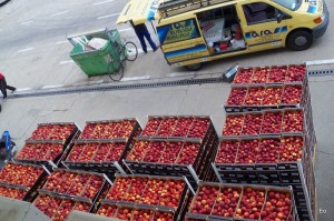 banco de alimentos nectarinas 23 septiembre