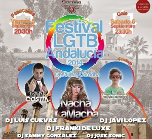 Cartel del V Festival LGTB. 