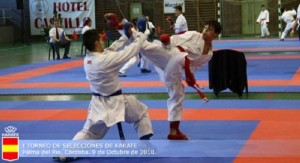 torneo karate palma del río