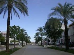 Avenida Carlos III. La Carlota. 