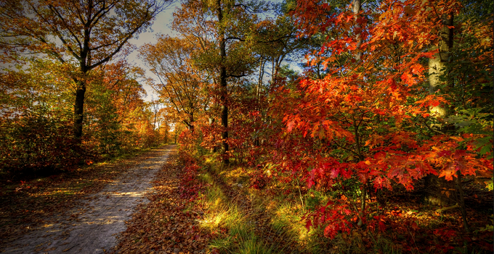 “Que nos salgan arrugas de tanto reír”