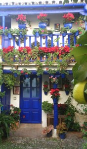 Los patios se visten de Navidad cada año. 