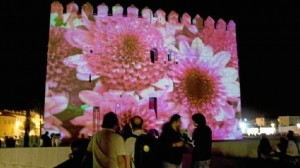 Ejemplo de uno de los "mappìng" proyectados en la Calahorra.