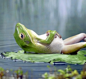 La calidad del sueño es imprescindible para tener energía suficiente para estar activos todo el día.