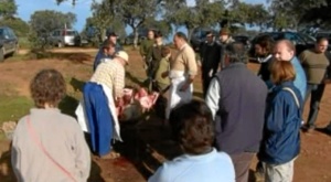 Jornada de matanza en El Alcornocal de 2014. / Foto: youtube.