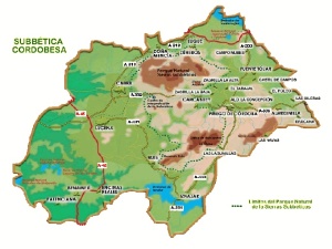 Súbbetica cordobesa.