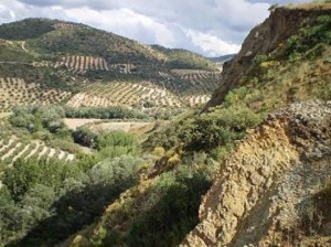 Tajo Basto. / Foto: www.encinasreales.es