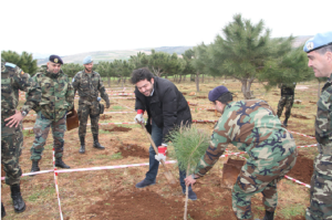 Reforestación en Blate. 