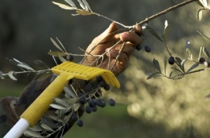 Empleo agrario. / Foto: www.muralesyvinilos.com