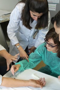 Especialistas en veneno de avispas y abejas.