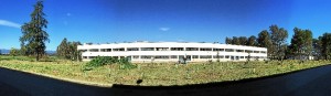 Imagen panorámica del Bosque Universitario.