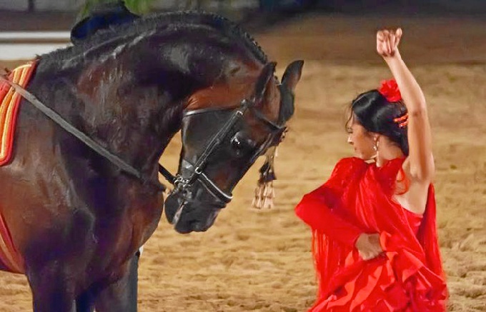 Córdoba Ecuestre presenta una programación especial para celebrar sus veinte años Córdoba Ecuestre presenta una programación especial para celebrar sus veinte años