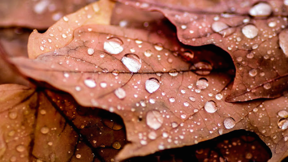 Probabilidad de lluvia en Córdoba y provincia desde el miércoles de esta semana