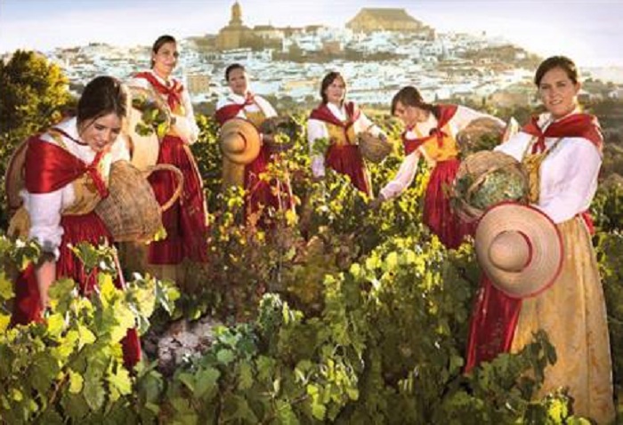 Montilla, de gala en la 62ª edición de la Fiesta de la Vendimia