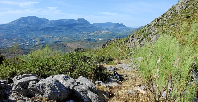Ecologistas en Acción denuncia un 