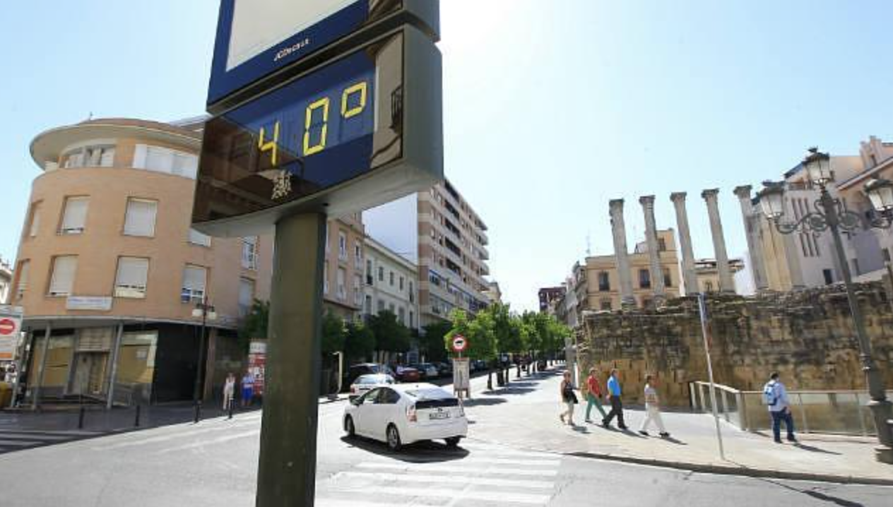 Fridays for future convoca una huelga global ante la emergencia climática