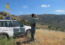 La Guardia Civil detiene a tres personas e investiga a otra, vecinos de Hinojosa y Belalcázar por sustracción de aves
