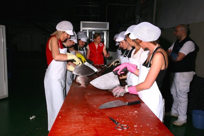 Las pequeñas y medianas empresas crearon casi 350.000 empleos en 2018