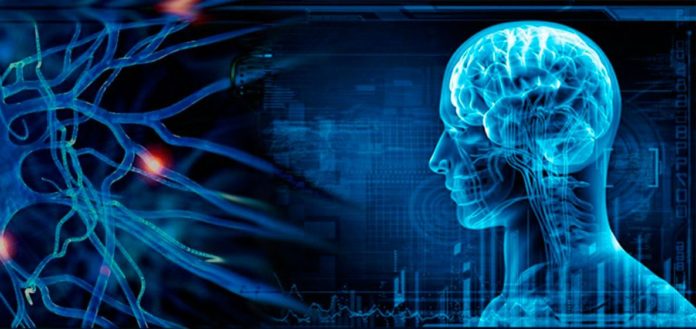 Día Mundial del Parkinson: ¿Cuáles son los primeros síntomas en manifestarse en esta enfermedad?