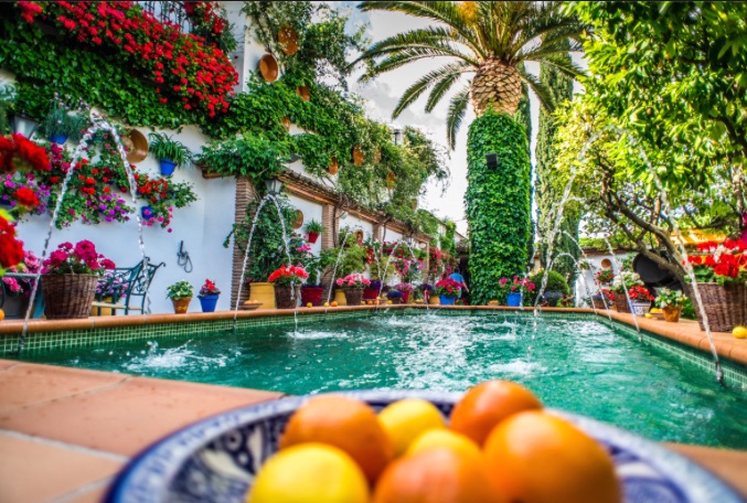 Espacios de Rute, Belmez y Hornachuelos ganan el V Concurso de Patios, Rincones y Rejas de la provincia