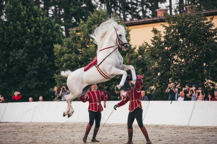 España y los caballos de Córdoba serán protagonistas en Moscú