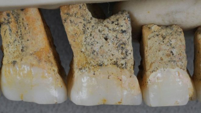 Descubren en Filipinas los restos del 'Homo Luzonensis', una nueva especie humana